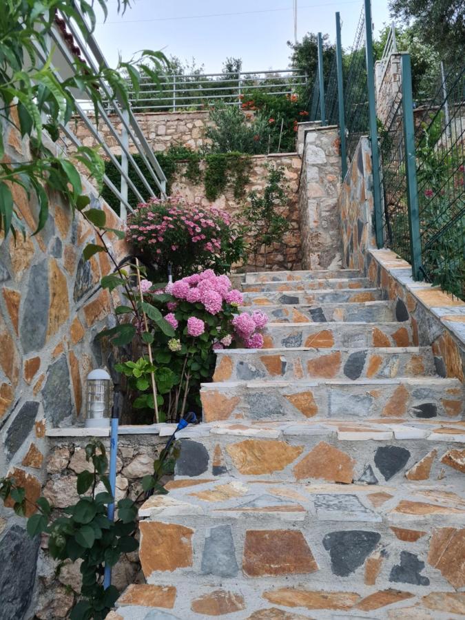 Vuno Vila Tatjana旅馆 外观 照片