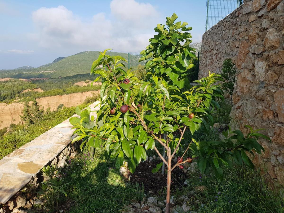 Vuno Vila Tatjana旅馆 外观 照片