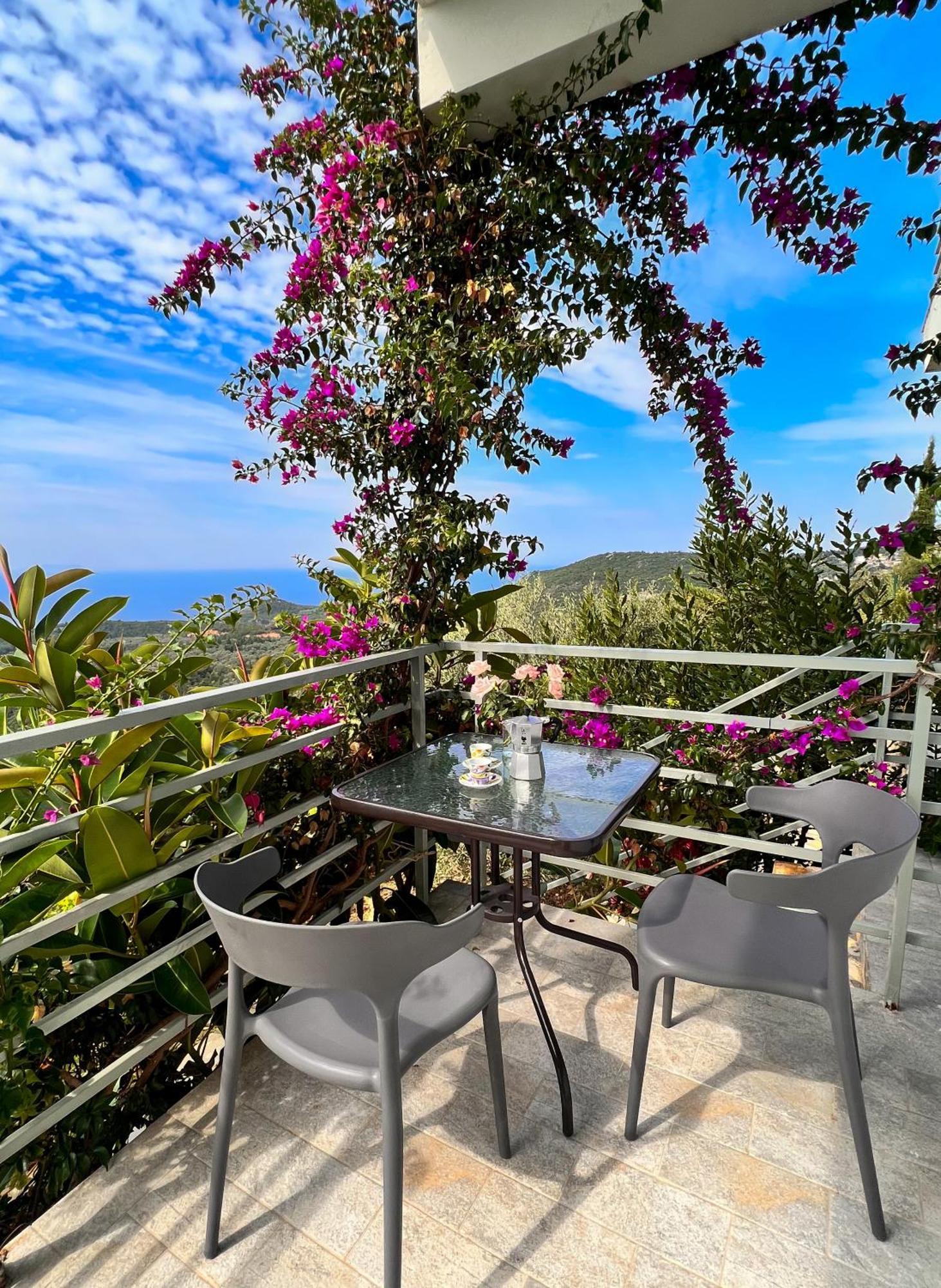 Vuno Vila Tatjana旅馆 外观 照片